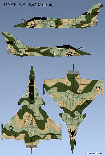 Camouflage Diagram